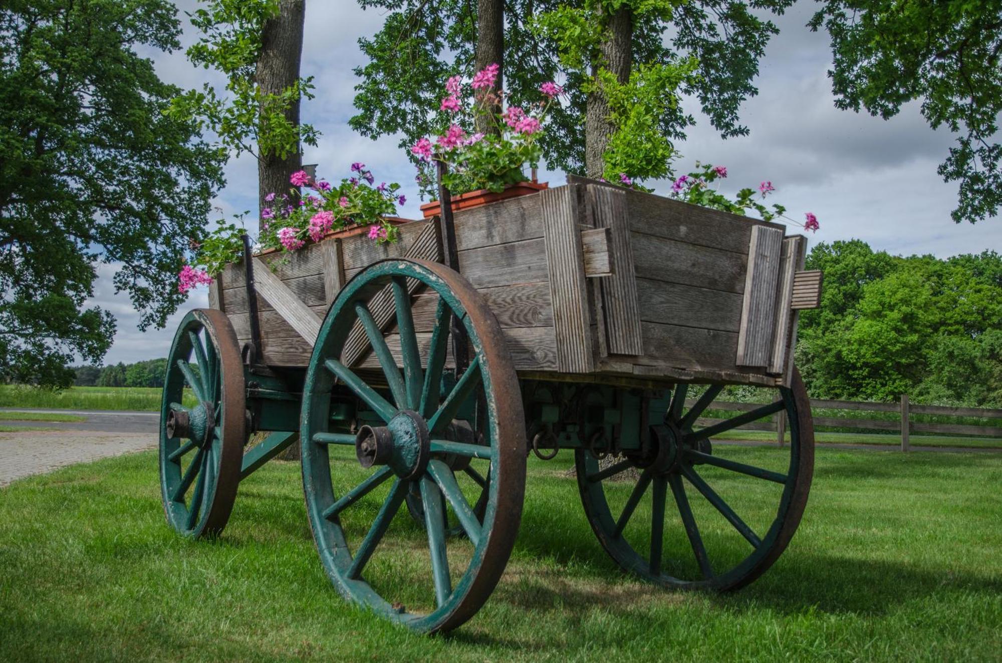Ferienhof Westermann Waldblick Lähden エクステリア 写真